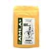 POUDRE AMLA NATUREL 100G (x10)