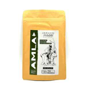 POUDRE AMLA NATUREL 100G (x10)